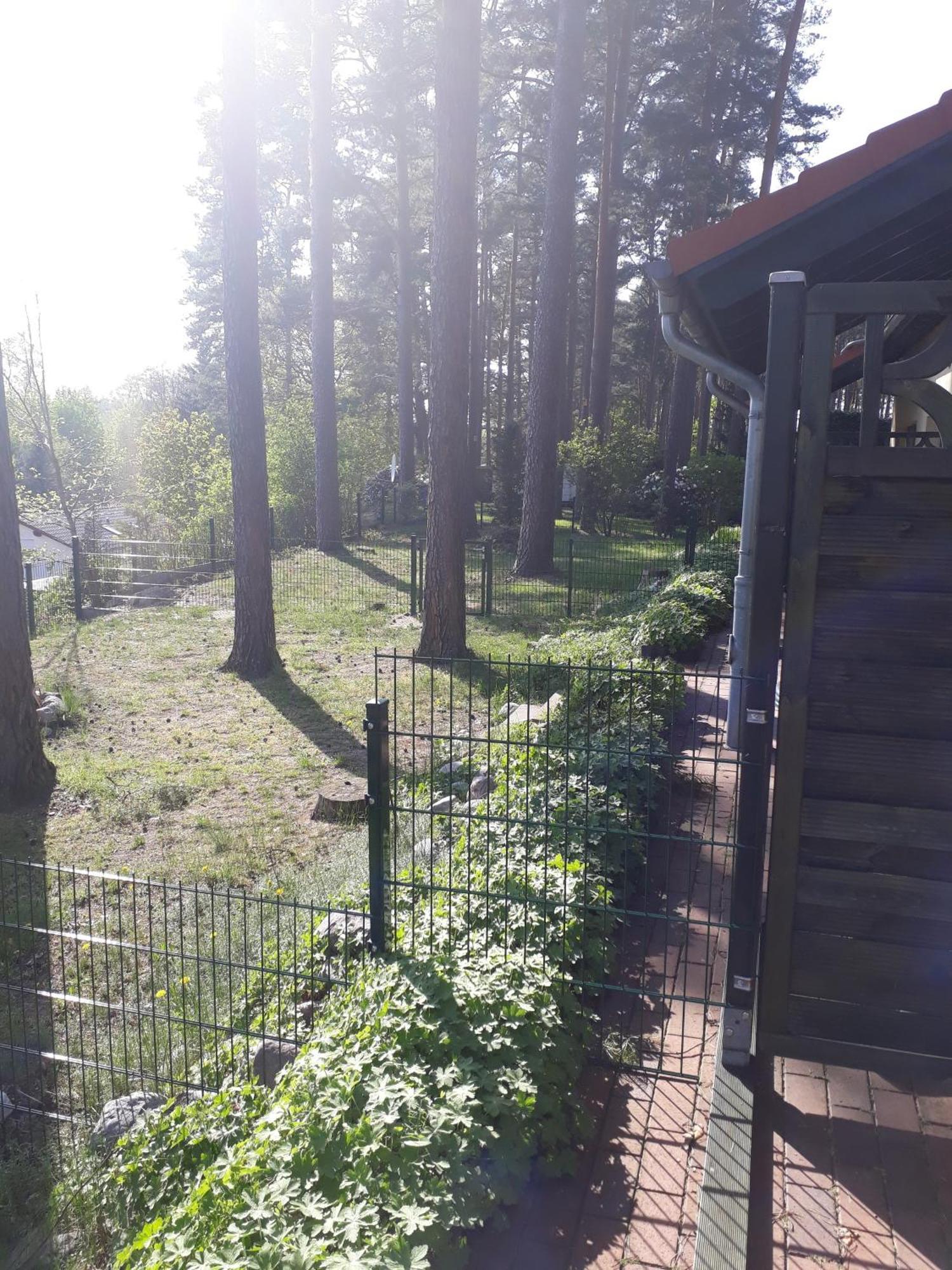 Ferienhaus Waldschneise B Am Jabeler See エクステリア 写真