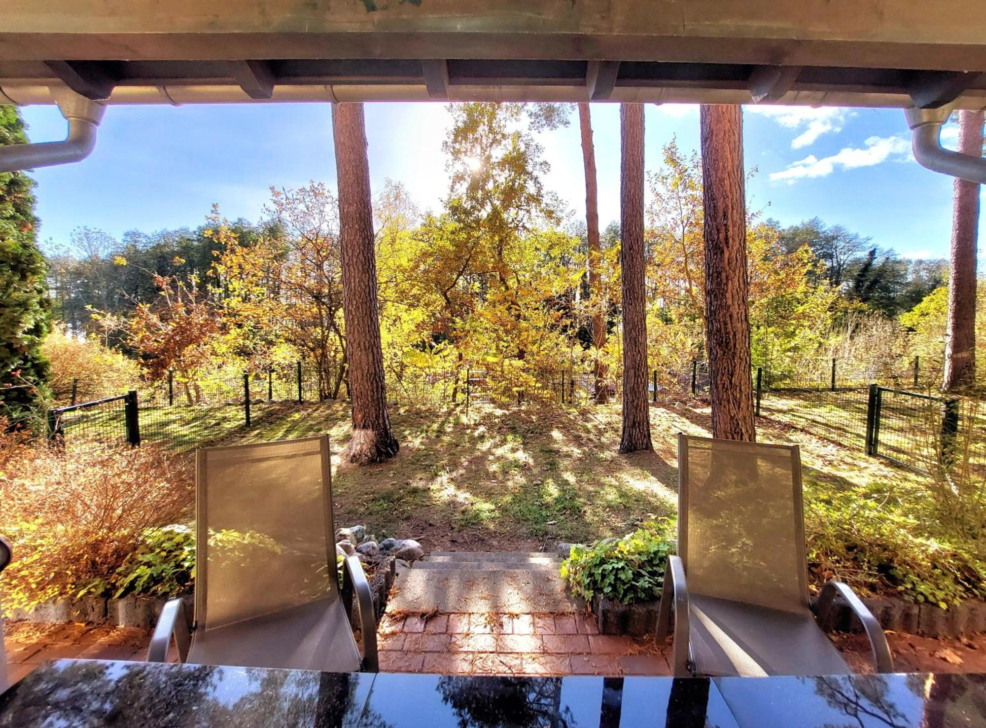 Ferienhaus Waldschneise B Am Jabeler See エクステリア 写真